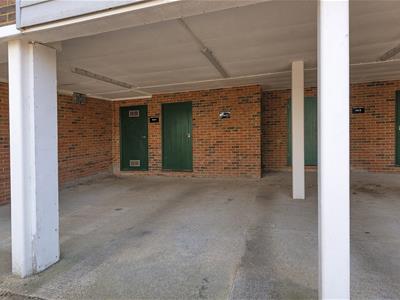 Picture 14